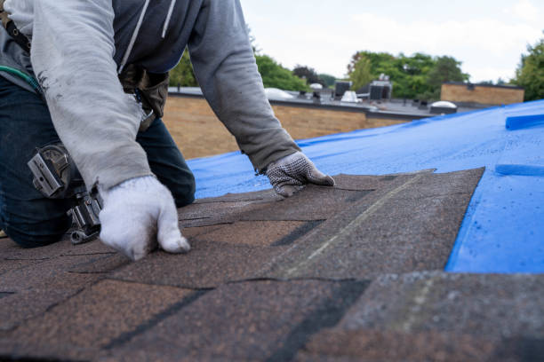 Best Storm Damage Roof Repair  in Agua Dulce, TX