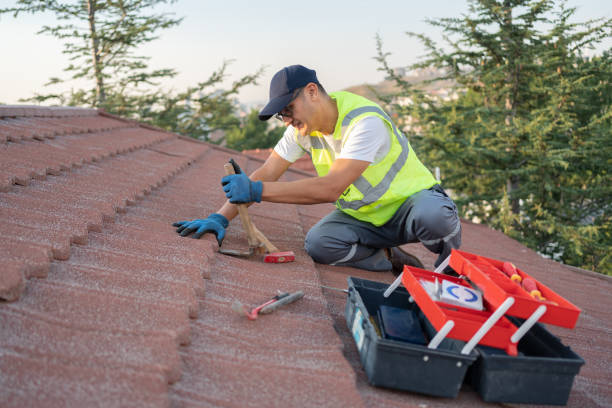 Best Flat Roof Repair Services  in Agua Dulce, TX